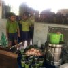 Nutrition