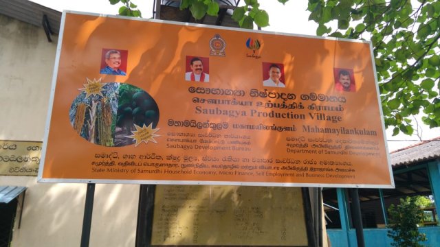 Kithul Photo