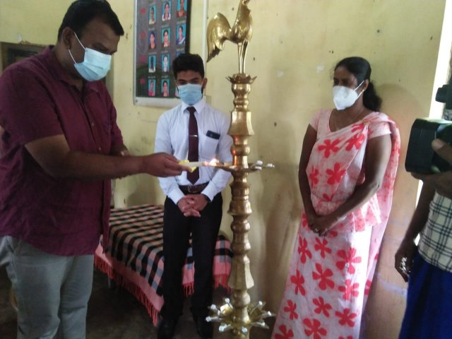 Kithul Photo