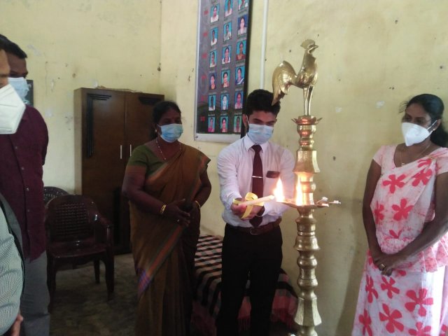 Kithul Photo