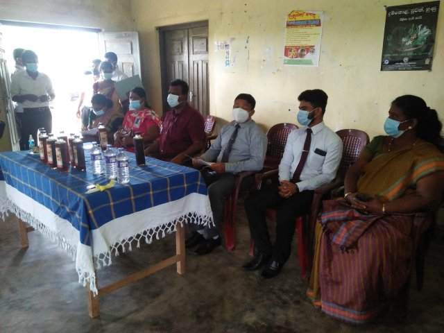 Kithul Photo